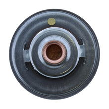 Load image into Gallery viewer, 228-160JV Thermostat 160 Degrees Motorad