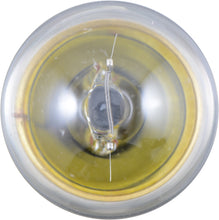 Load image into Gallery viewer, 67B2 Philips Standard Miniature 67 - Standard - Twin Blister Pack Philips Bulbs