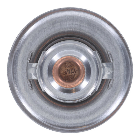230-174 Thermostat 174 Degrees Motorad