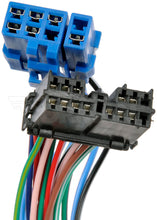 Charger l'image dans la galerie, 2330904 Combination Stalk Dorman - HELP Canada
