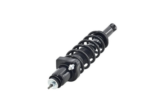 2345484 Rear Suspension Strut and Coil Spring Assembly FCS Shocks & Struts