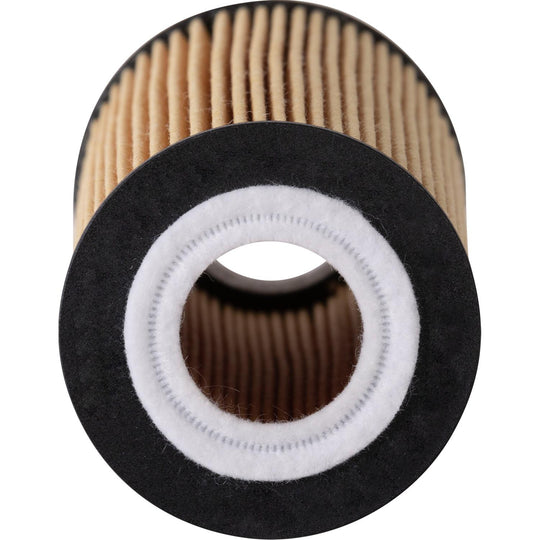 S5909 Synthetic Engine Oil Filter ECOGARD Canada