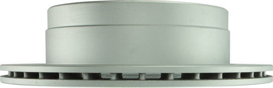 25010689 Bosch QuietCast Disc Brake Rotor Bosch Canada