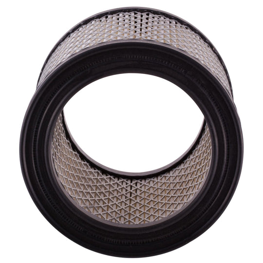 XA3196 Air Filter ECOGARD Canada