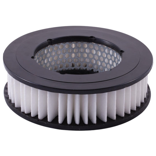 XA4273 Air Filter ECOGARD Canada