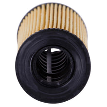 Load image into Gallery viewer, S10040 Synthetic Engine Oil Filter ECOGARD Canada
