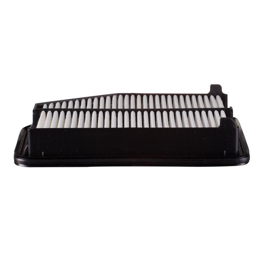 XA10019 Air Filter ECOGARD Canada