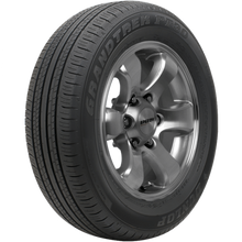 Load image into Gallery viewer, 290105800 225/65R17 Grandtrek PT30 102H Dunlop Tires Canada