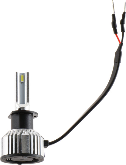 H1UELED Philips Ultinon Essential - Ultinon Essential Philips Bulbs