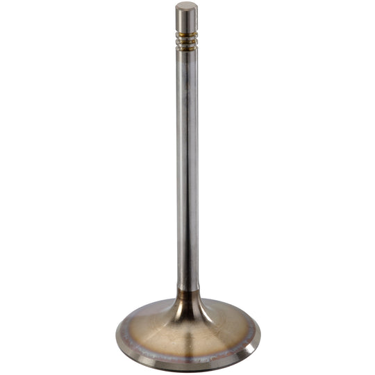 300100 Engine Intake Valve TRW Engine Components Canada