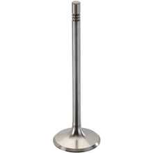 Load image into Gallery viewer, 300101 Engine Exhaust Valve TRW Engine Components Canada