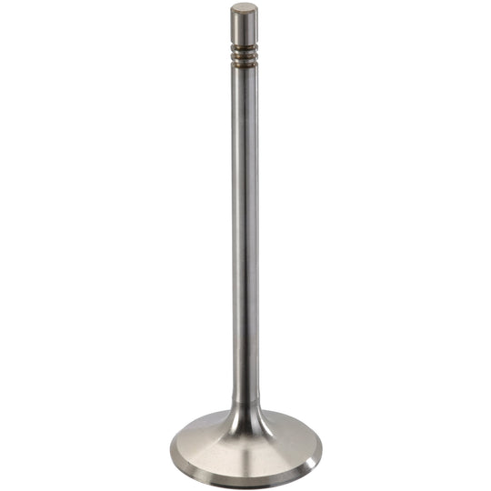 300101 Engine Exhaust Valve TRW Engine Components Canada