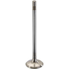 Load image into Gallery viewer, 300103 Engine Exhaust Valve TRW Engine Components Canada