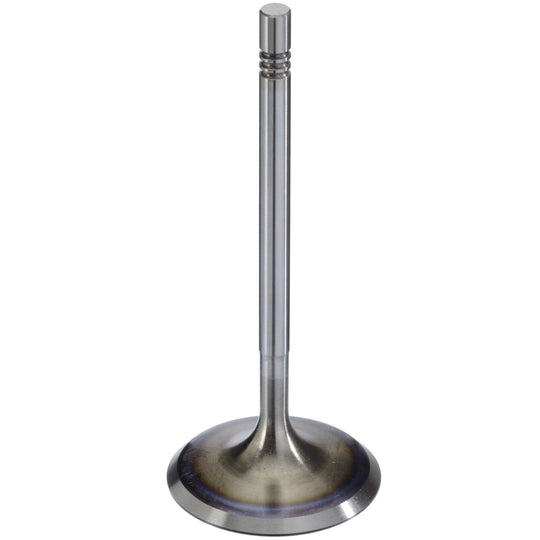 300104 Engine Intake Valve TRW Engine Components Canada