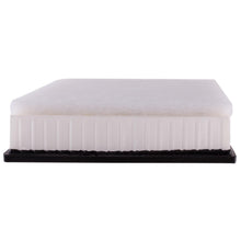 Charger l'image dans la galerie, XA10660 Air Filter ECOGARD Canada