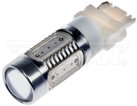 3156R-HP Back Up Light Bulb Dorman Canada