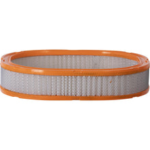 Load image into Gallery viewer, XA3138 Air Filter ECOGARD Canada