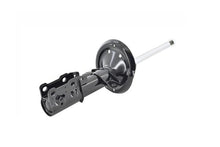 Load image into Gallery viewer, 332356 Front Suspension Strut FCS Shocks &amp; Struts