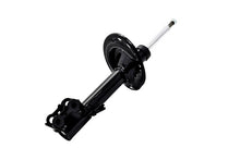 Load image into Gallery viewer, 333818R Front Right Suspension Strut FCS Shocks &amp; Struts