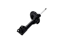 Load image into Gallery viewer, 333819L Front Left Suspension Strut FCS Shocks &amp; Struts