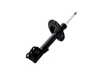 Load image into Gallery viewer, 333819R Front Right Suspension Strut FCS Shocks &amp; Struts