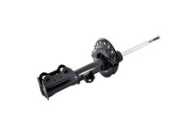 Load image into Gallery viewer, 333839 Front Suspension Strut FCS Shocks &amp; Struts
