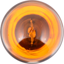 Load image into Gallery viewer, PY21WNACP Philips Standard Minature 13929 - Standard - Multiple Commercial 10-Pack Philips Bulbs