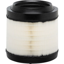 Load image into Gallery viewer, XA11980 Air Filter ECOGARD Canada