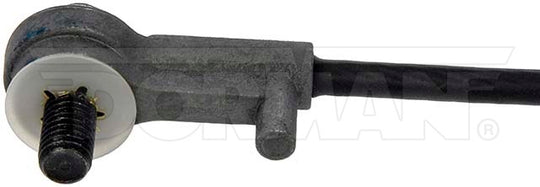 38552 Tailgate Support Cable Dorman - HELP Canada