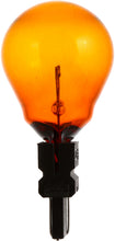 Load image into Gallery viewer, 3156NACP Philips Standard Miniature 3156NA - Standard - Multiple Commercial 10-Pack Philips Bulbs