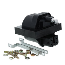 Load image into Gallery viewer, 3IC108 Ignition Coil BFNG