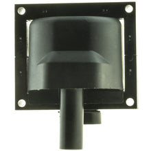 Load image into Gallery viewer, 3IC111 Ignition Coil BFNG