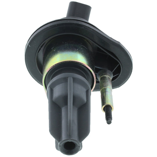 3IC118 Ignition Coil BFNG