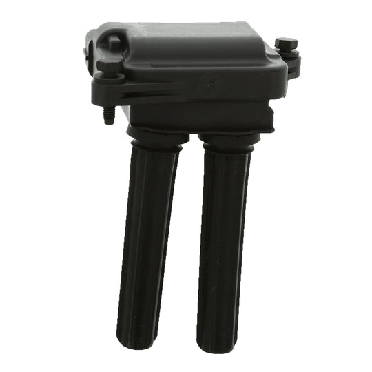 3IC405 Ignition Coil BFNG