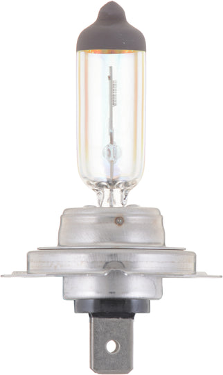 H7MVB1 Philips MotoVision Bulb H7 - MotoVision - Single Special Pack Philips Bulbs