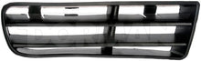 Load image into Gallery viewer, 45166 Bumper Grille Insert Dorman - HELP Canada
