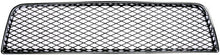 Load image into Gallery viewer, 45171 Bumper Grille Insert Dorman - HELP Canada