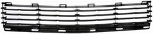 Load image into Gallery viewer, 45172 Bumper Grille Insert Dorman - HELP Canada