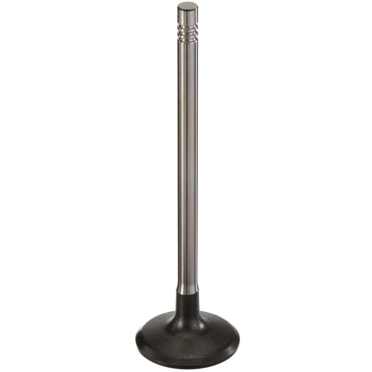 471200 Engine Intake Valve TRW Engine Components Canada