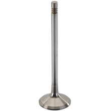 Load image into Gallery viewer, 471206 Engine Intake Valve TRW Engine Components Canada