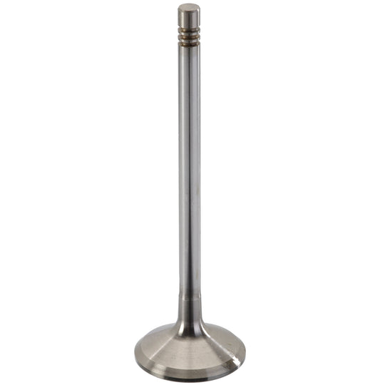 471206 Engine Intake Valve TRW Engine Components Canada