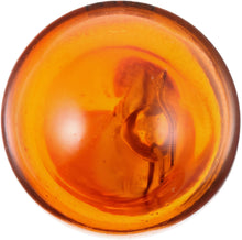 Load image into Gallery viewer, 921NALLB2 Philips LongerLife Miniature 921NALL - LongerLife - Twin Blister Pack Philips Bulbs