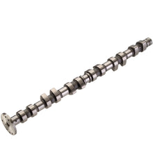 Load image into Gallery viewer, 50006226 Engine Camshaft Kolbenschmidt Canada