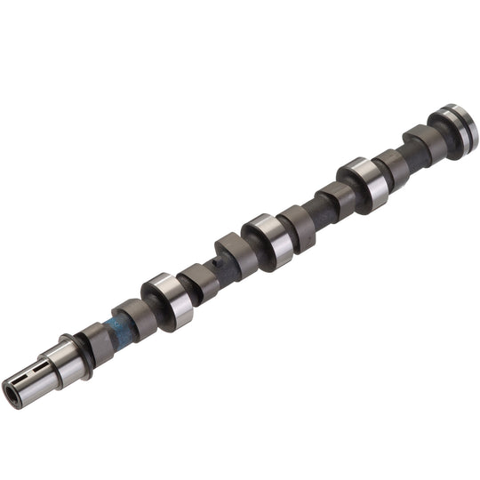 50006281 Engine Camshaft Kolbenschmidt Canada