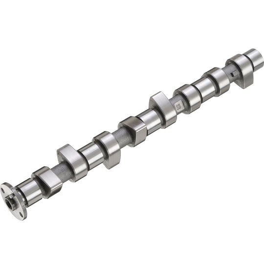 50006282 Engine Camshaft Kolbenschmidt Canada