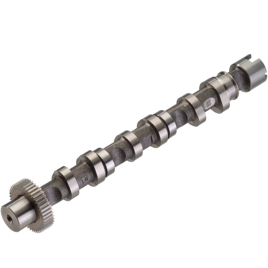 50007005 Engine Camshaft Kolbenschmidt Canada