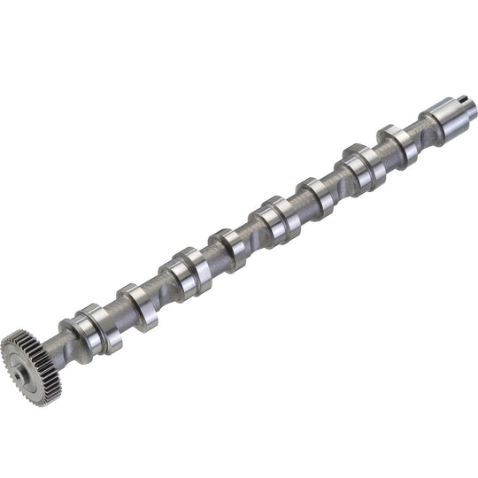 50007022 Engine Camshaft Kolbenschmidt Canada