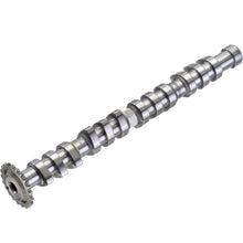 Load image into Gallery viewer, 50007581 Engine Camshaft Kolbenschmidt Canada