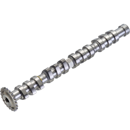 50007581 Engine Camshaft Kolbenschmidt Canada