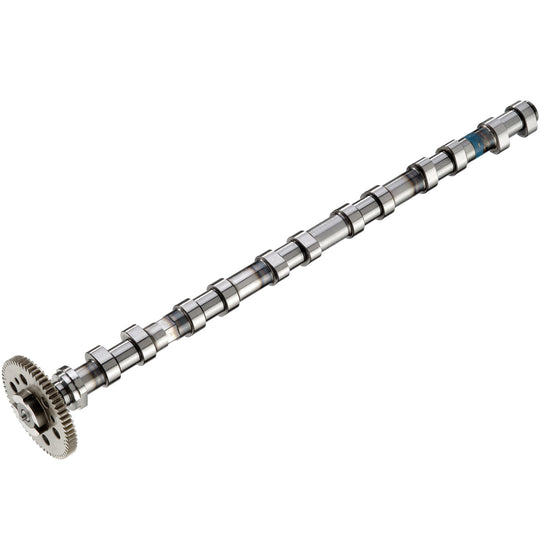 50007683 Engine Camshaft Kolbenschmidt Canada
